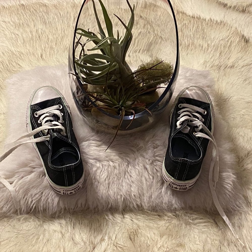 Virtually brand new converse